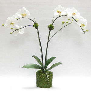 Bougainvillea -  - Fleur Artificielle