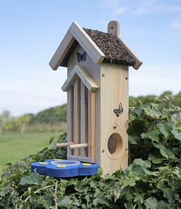 Wildlife world - butterfly habitat/feeder - Maison D'oiseau