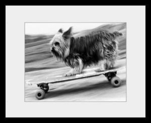 PHOTOBAY - skateboarding dog - Photographie