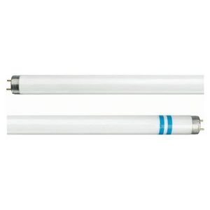 Philips - tube fluorescent 1381421 - Tube Fluorescent