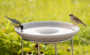 Traditional Garden baignoire Oiseaux Mangeoire Table Résistant aux intempéries moderne Ornement 