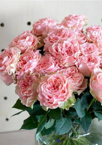 MONSIEUR MARGUERITE - 30 roses - Composition Florale