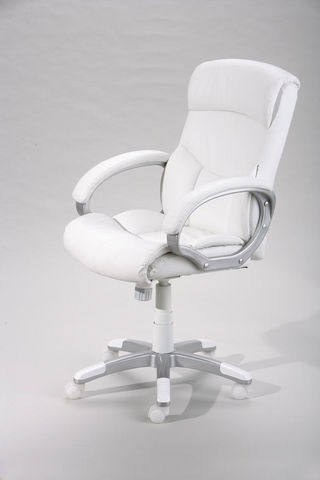 WHITE LABEL - Chaise de bureau-WHITE LABEL-Fauteuil de bureau ergonomique coloris blanc desig