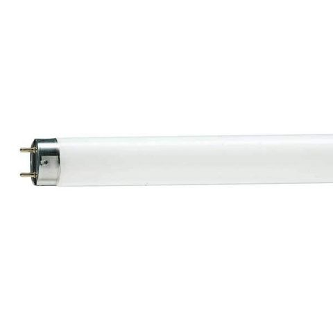 Philips - Tube fluorescent-Philips-Tube fluorescent 1381444