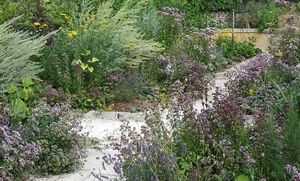 COACHE LACAILLE -  - Landscaped Garden
