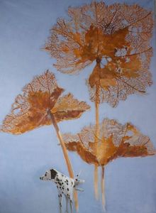 Fabienne Colin - spectacle d'automne - Wall Decoration