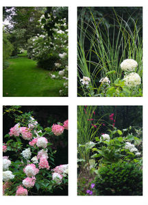 DRAW ME A GARDEN - jardin anglais - Landscaped Garden