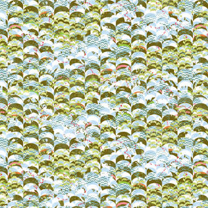 MUSHABOOM DESIGN - pluvia - clear - Upholstery Fabric