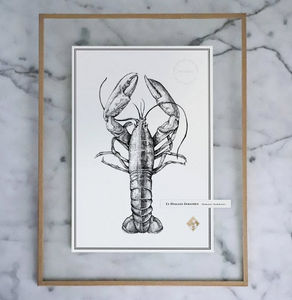 J.L L'ATELIER - le homard européen - Ink Drawing