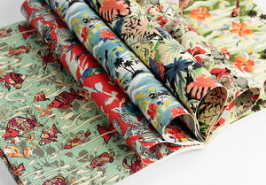 THE PEPIN PRESS -  - Gift Wrapping Paper