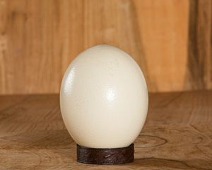 L'AUTRUCHE DE LAURETTE -  - Ostrich Egg