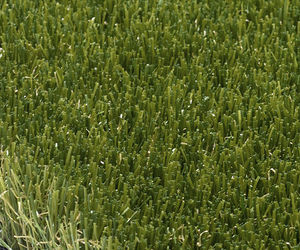SUMIGRAN - sakura - Synthetic Grass