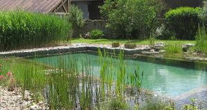BIOTEICH -  - Environmentally Friendly Pool