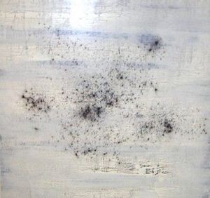 www.maconochie-art.com - pollen - Oil On Canvas And Oil On Panel