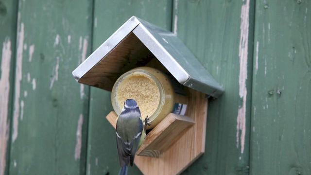 BEST FOR BIRDS - Bird feeder-BEST FOR BIRDS-Mangeoire oiseaux avec beurre de cacahuètes 15x13x
