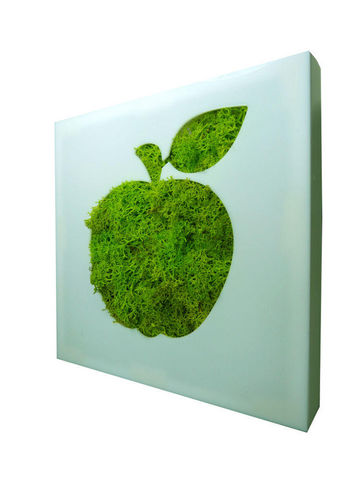 FLOWERBOX - Organic artwork-FLOWERBOX-Tableau végétal picto pomme en lichen stabilisé 20