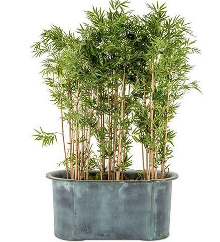CAPITAL GARDEN PRODUCTS - Artificial tree-CAPITAL GARDEN PRODUCTS-bambou artificiel