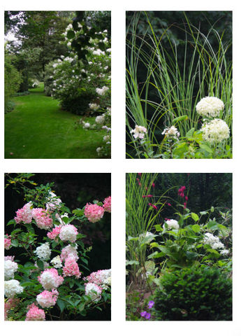 DRAW ME A GARDEN - Landscaped garden-DRAW ME A GARDEN-Jardin Anglais