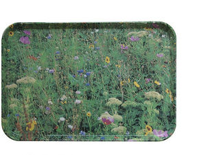 ELLA DORAN - meadow tray - Tablett