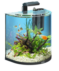 Tetra - aquarium aqua art explorer 60 litres - Aquarium