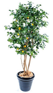 ARTIFICIELFLOWER - citronnier - Künstlicher Baum