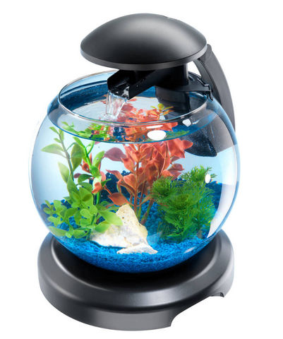 Tetra - Aquarium-Tetra-Aquarium Tetra Cascade Globe 6.8 litres