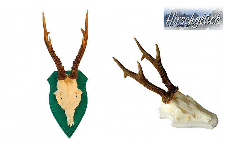 HIRSCHGLÜCK MADE IN GERMANY Cornamenta ornamental Taxidermia y trofeos de caza Ornamentos  | 