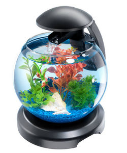 Tetra - aquarium tetra cascade globe 6.8 litres - Acuario