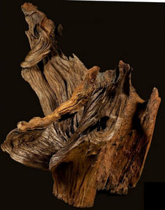 MICHAEL DELOFFRE -  - Escultura Vegetal