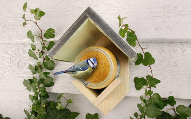BEST FOR BIRDS - Mangiatoia per uccelli-BEST FOR BIRDS-Mangeoire oiseaux avec beurre de cacahuètes 15x13x