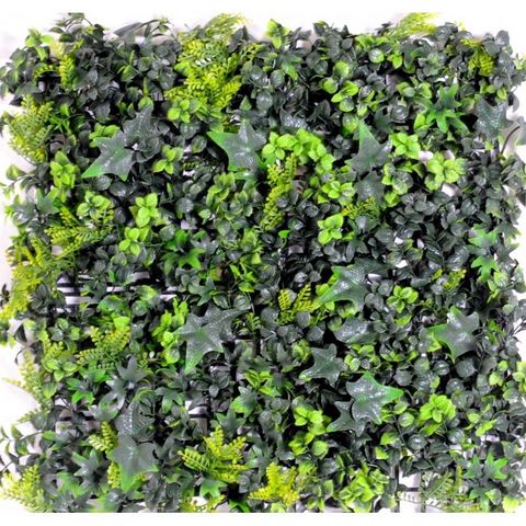 Vert Espace - Muro vegetale-Vert Espace